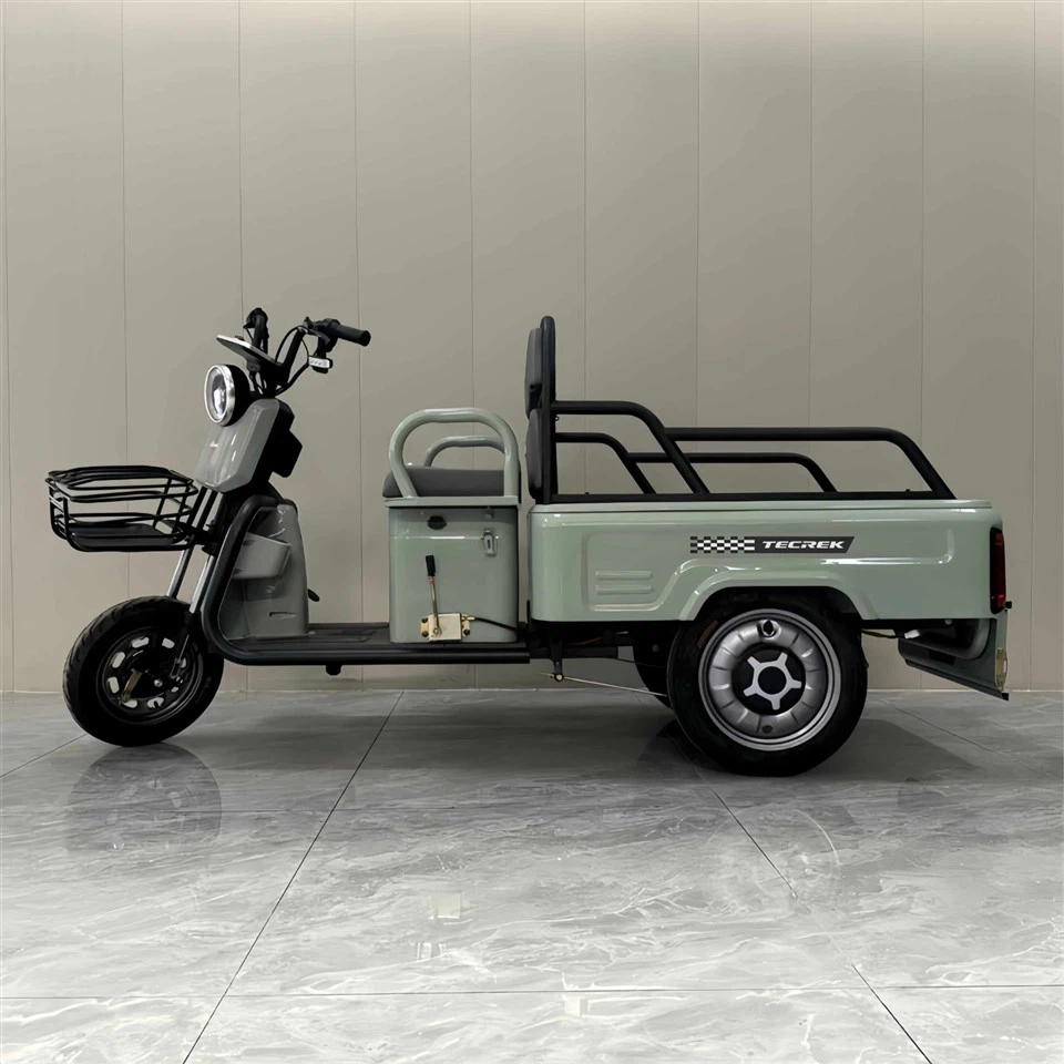China Electric Tricycle high quality