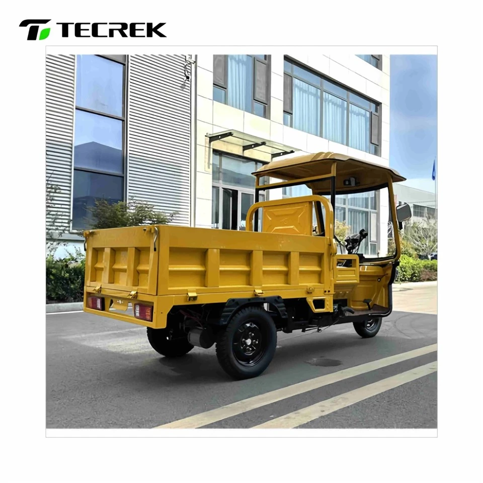 Electric Cargo Tricycle 800kg Load best Electric Cargo Tricycle 800kg Load best