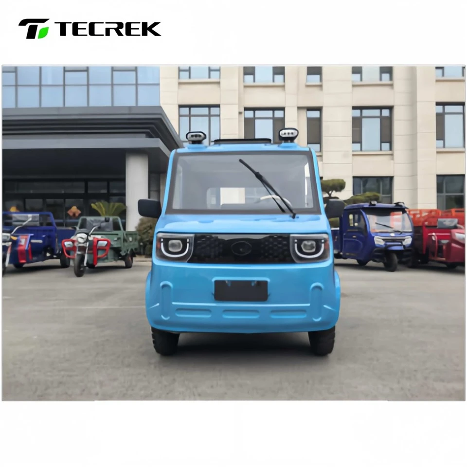 Electric Mini Pickup Truck factory