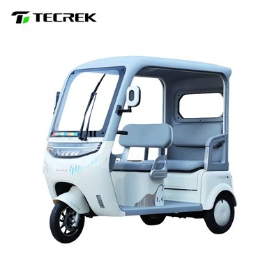 Zamonaviy elektr riksha